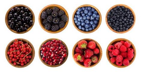 Growing Your Own Berries Image